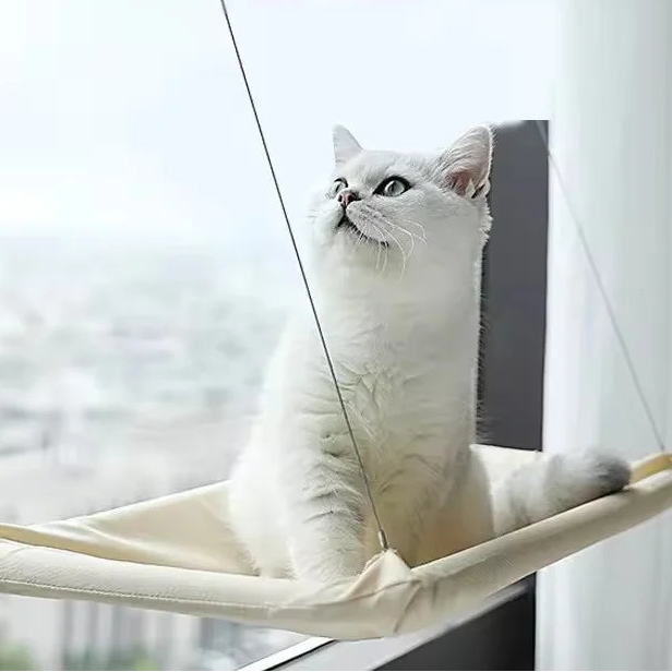 Hamac suspendu fenêtre chat