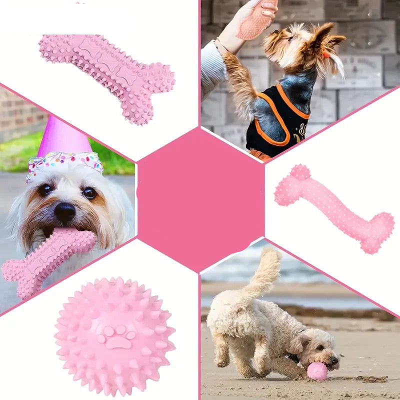 Lot 6 jouets à mâcher chien