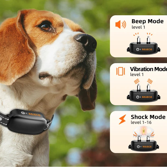 Collier dressage chien télécommande rechargeable