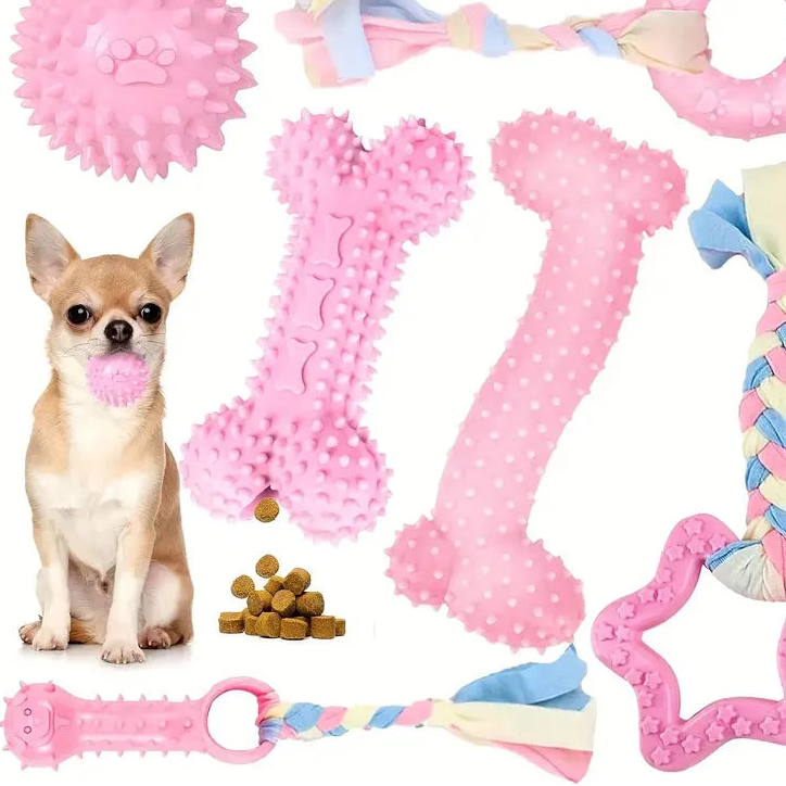 Lot 6 jouets à mâcher chien