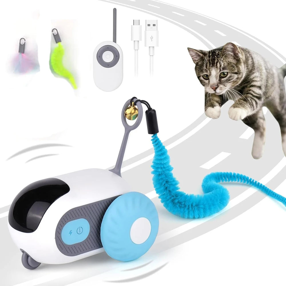 Jouet voiture télécommandée chat chien