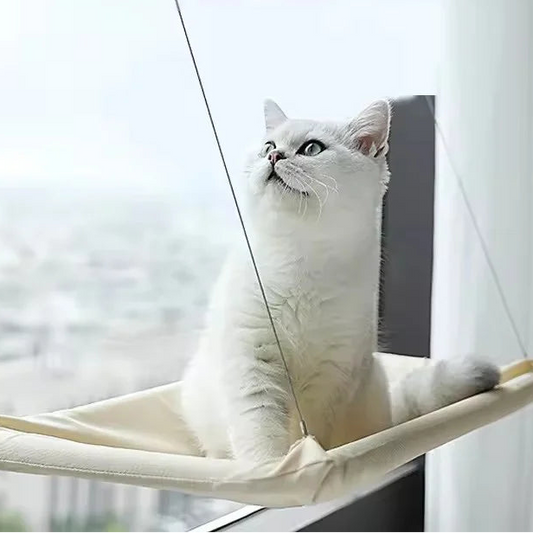 Hamac suspendu fenêtre chat