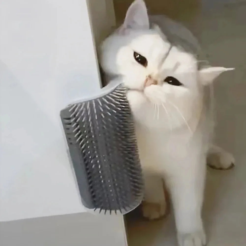Brosse murale auto-toilettage chat