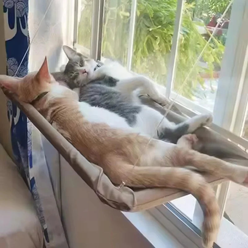 Hamac suspendu fenêtre chat