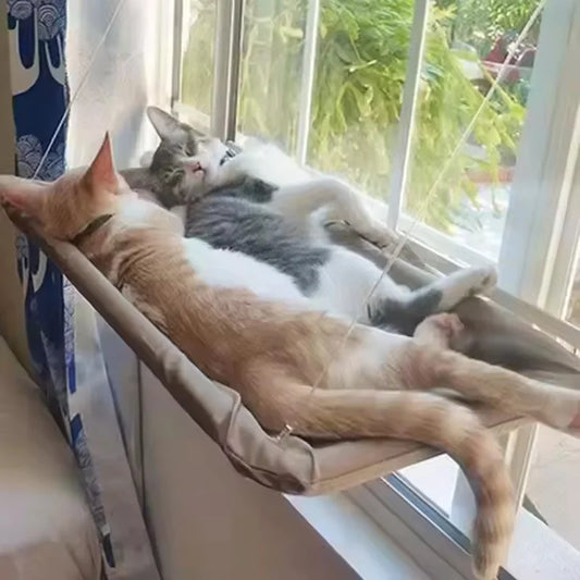 Hamac suspendu fenêtre chat