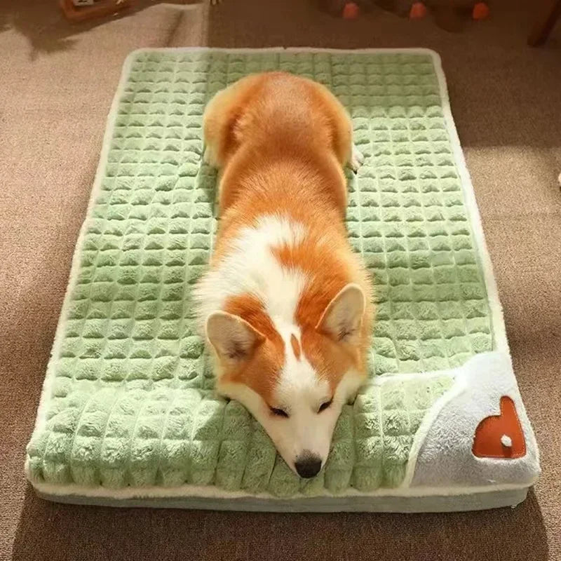 Coussin orthopédique chien mousse mémoire