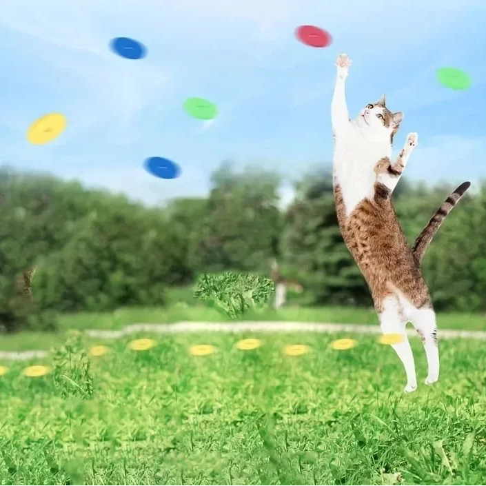 Pistolet jouet chat disques mousse