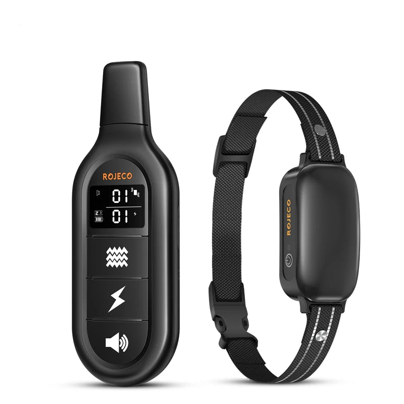 Collier dressage chien télécommande rechargeable