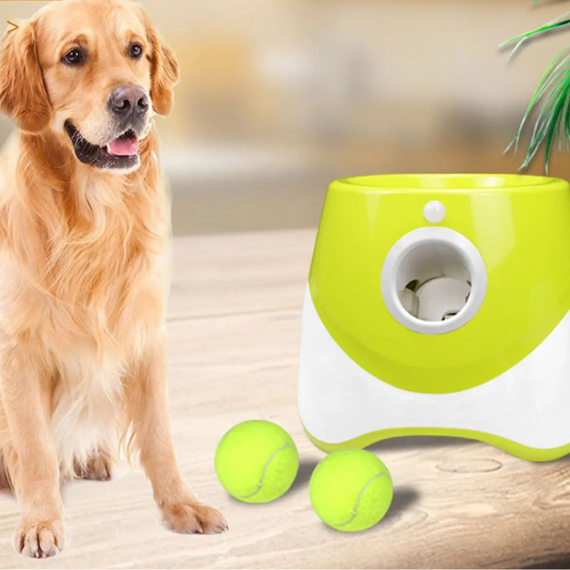 Lanceur balles interactif chien rechargeable