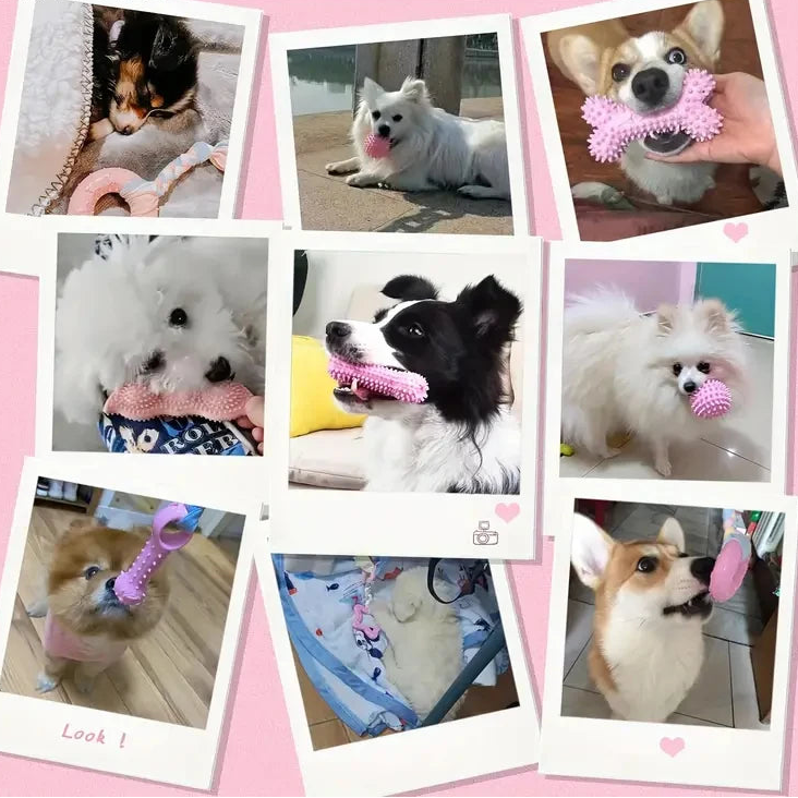 Lot 6 jouets à mâcher chien