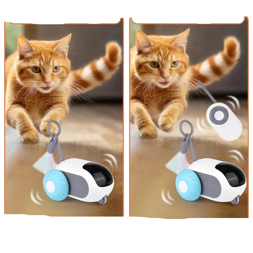Jouet voiture télécommandée chat chien