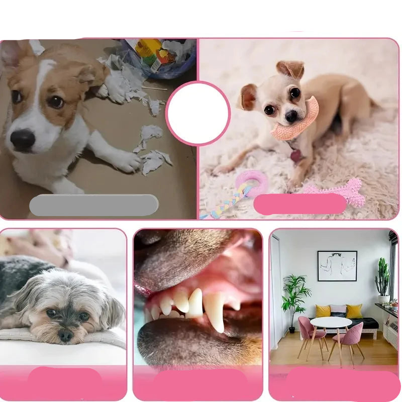 Lot 6 jouets à mâcher chien