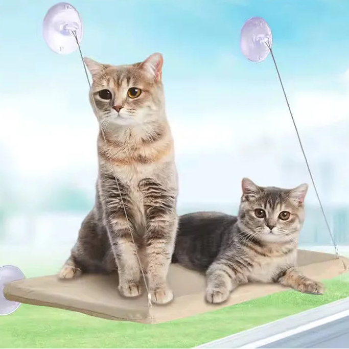 Hamac suspendu fenêtre chat