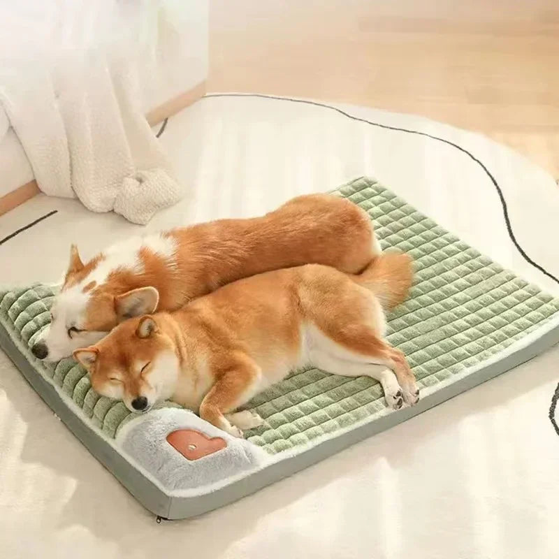Coussin orthopédique chien mousse mémoire