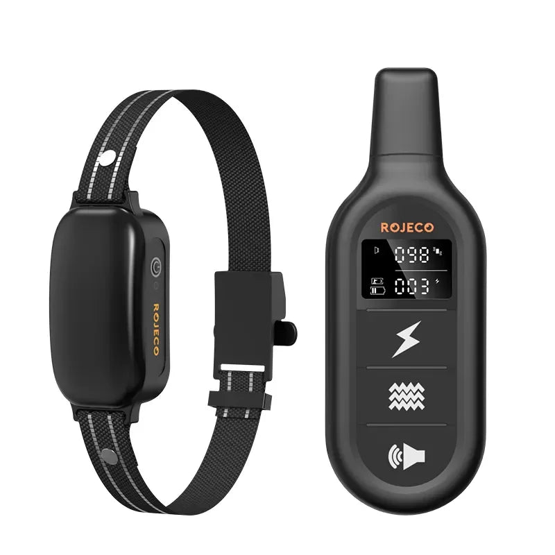 Collier dressage chien télécommande rechargeable