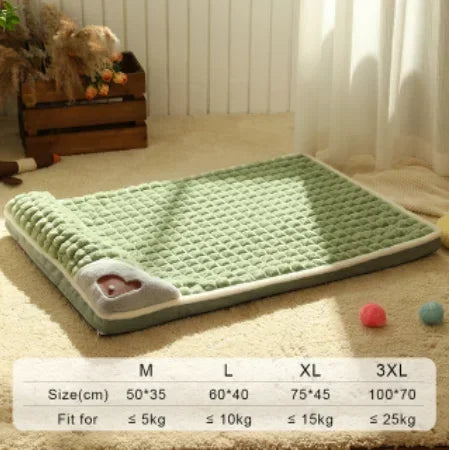 Coussin orthopédique chien mousse mémoire