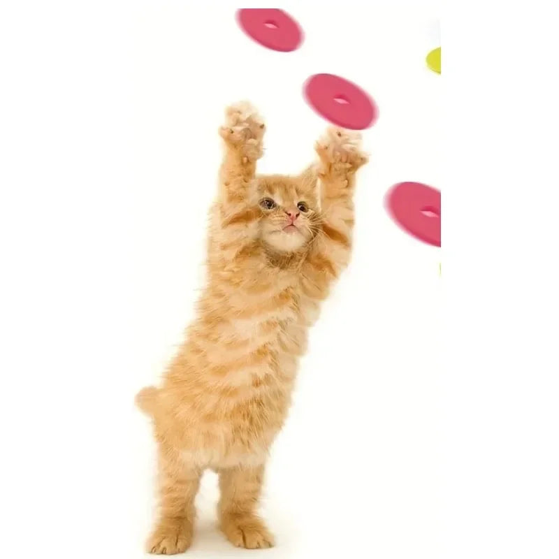Pistolet jouet chat disques mousse