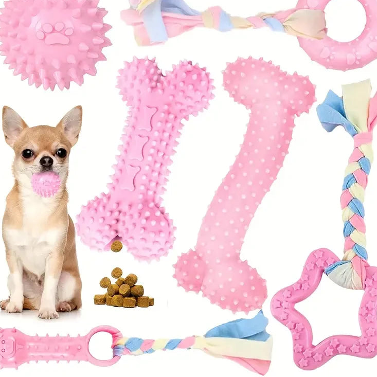 Lot 6 jouets à mâcher chien