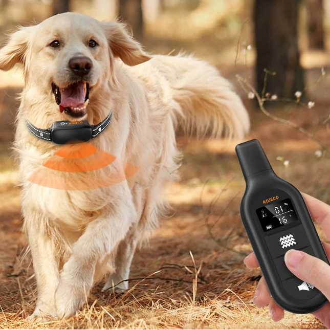 Collier dressage chien télécommande rechargeable
