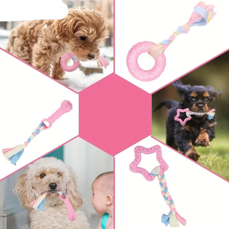 Lot 6 jouets à mâcher chien